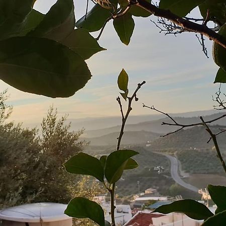 Mirador Del Olivar Olvera Dış mekan fotoğraf