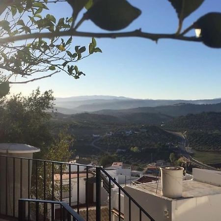 Mirador Del Olivar Olvera Dış mekan fotoğraf
