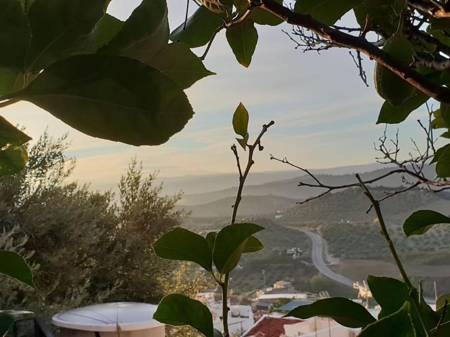 Mirador Del Olivar Olvera Dış mekan fotoğraf