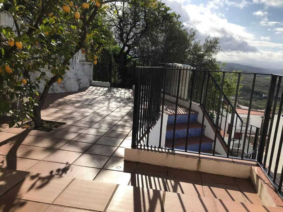 Mirador Del Olivar Olvera Dış mekan fotoğraf