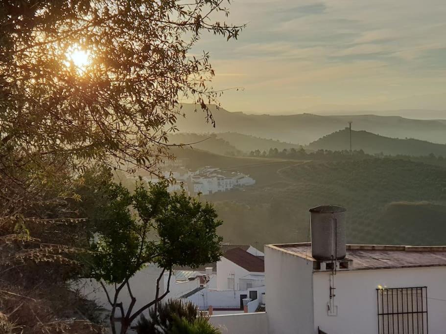 Mirador Del Olivar Olvera Dış mekan fotoğraf